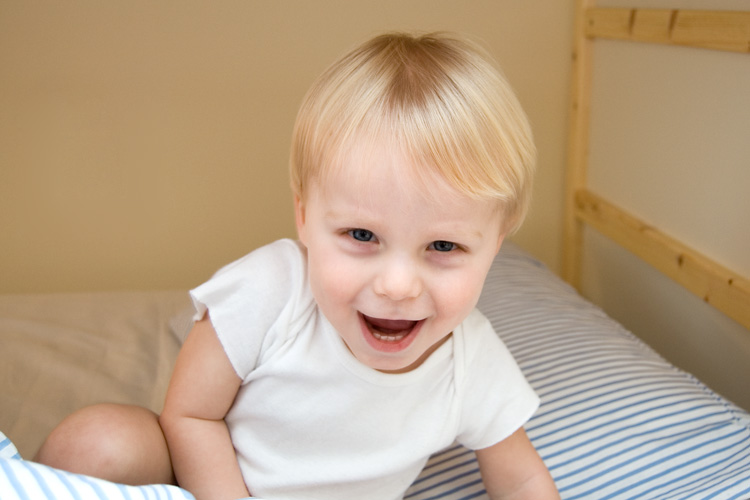There's a lion in the kids' new bed!