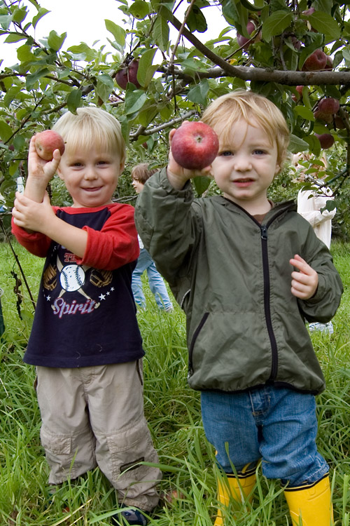 Displaying the fruits of their labor