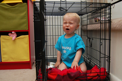 In the doghouse (before you call Child Protective Services, note that he crawled in voluntarily)