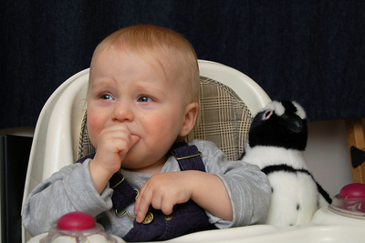 Suspicious of flightless birds