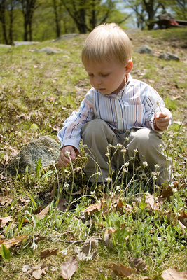 Picking a Mother's Day bouquet for his beloved Mama