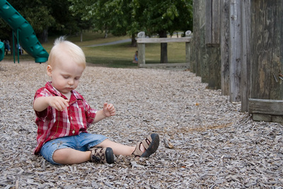 Field of ordinary wood chips or one million new toys to throw?