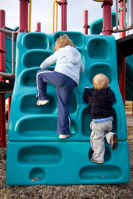 Bear cubs climbing out of their den after a long winter's hibernation