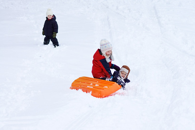 Nikola doesn't understand how the wipeout is supposed to be the fun part of sledding
