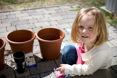 Preparing the May flowers