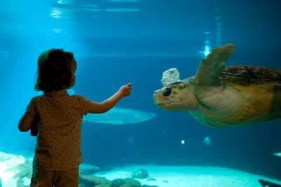 Day out with Papa at the aquarium for the new big sister