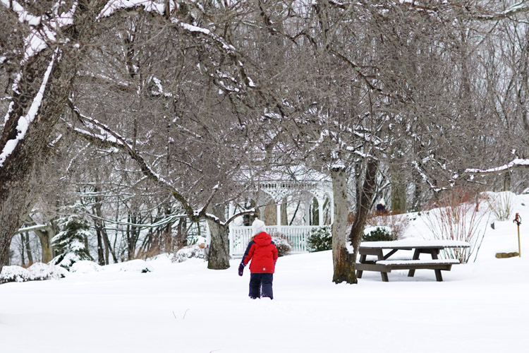 Taking in winter one more time, just in case it's the last of the season