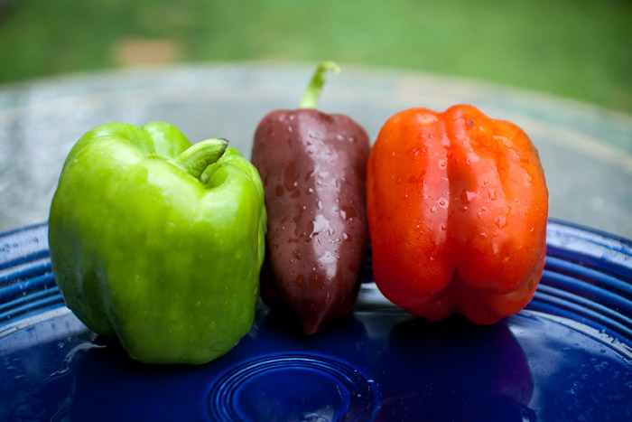 Green, chocolate and 'lipstick red' peppers