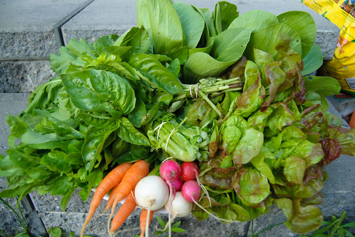 Greens aplenty