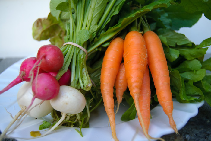 Carrots and radishes