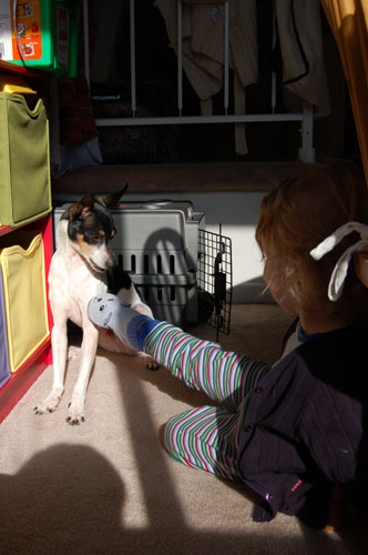 Veronika, playing her favorite game with Digby (kicking him)